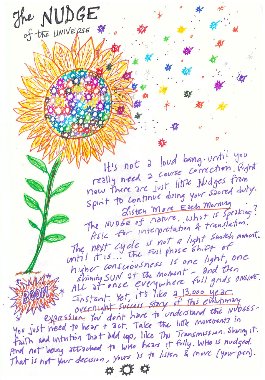 Nudge the system doodle